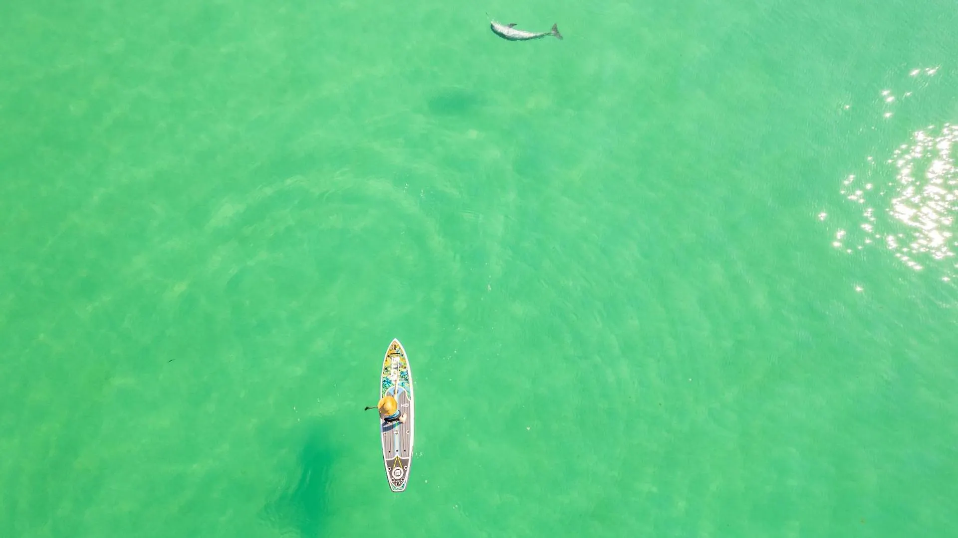 Apartment Inlet Reef 617- By Holiday Isle Properties Destin United States