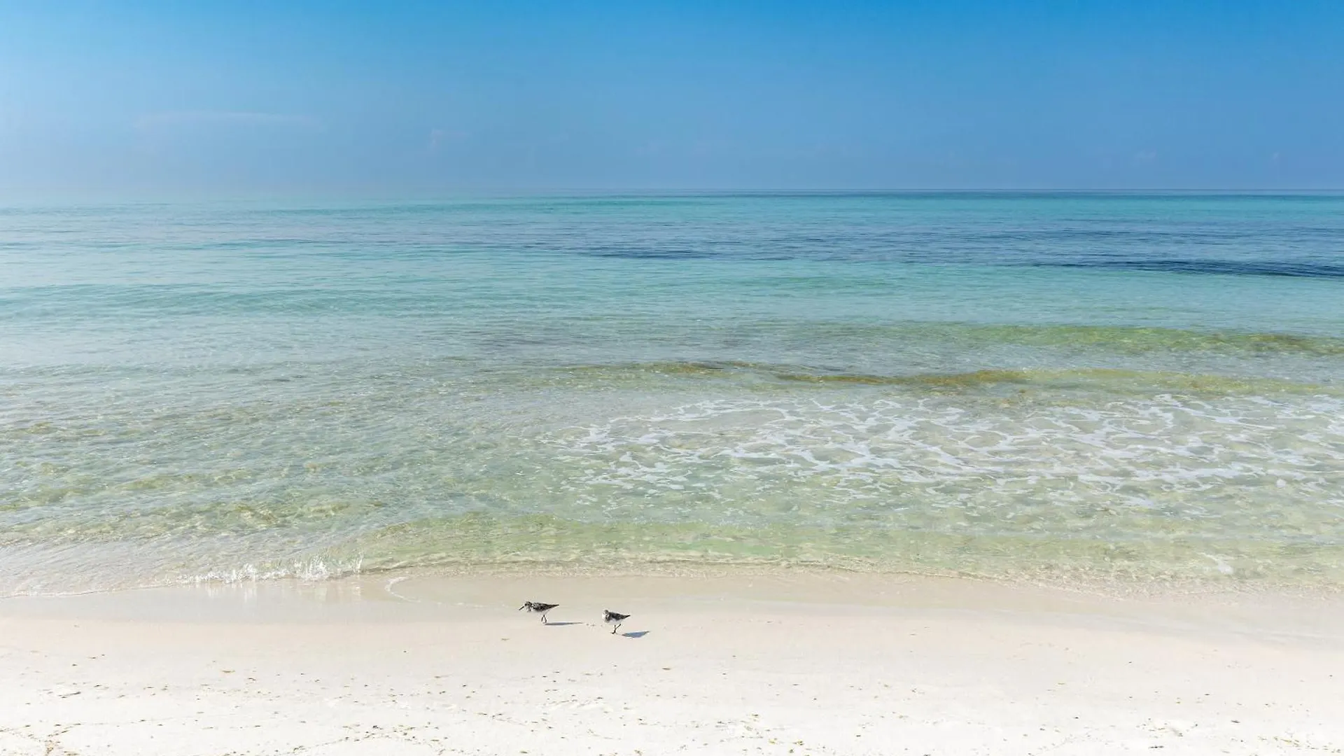 Inlet Reef 617- By Holiday Isle Properties Destin 0*,  United States