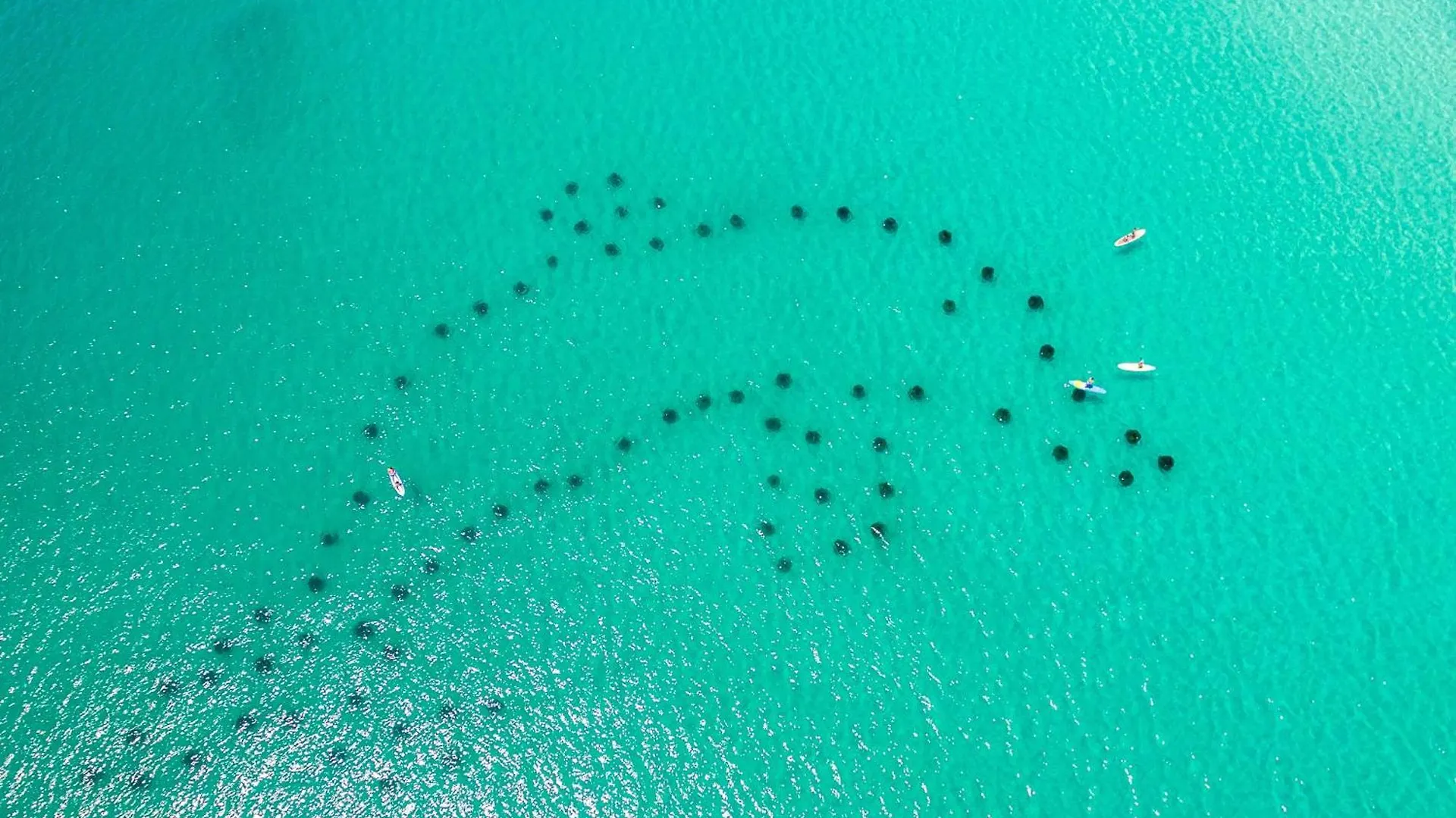 Inlet Reef 617- By Holiday Isle Properties Destin United States